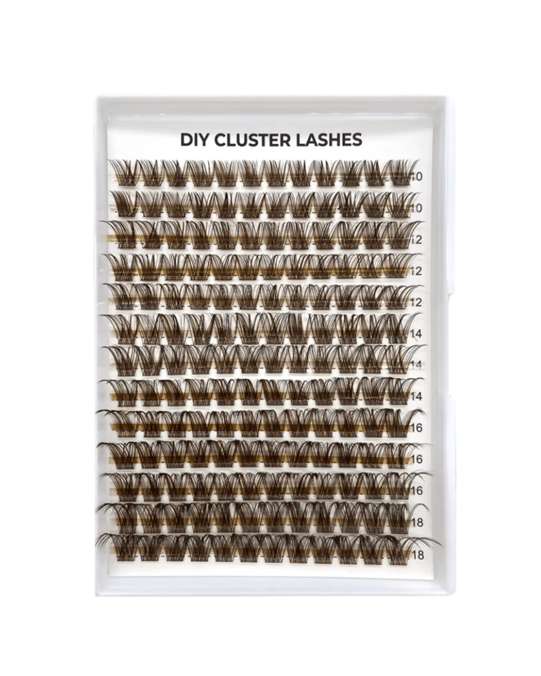 brown clusters - Lash Socialc curl