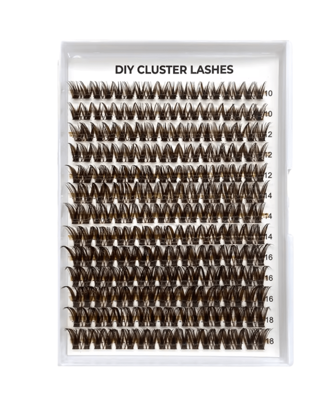 brown clusters - Lash Socialc curl